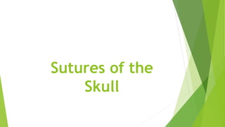Sutures of the
Skull
 