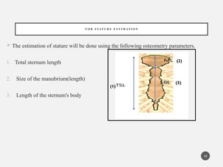 Utilising Sternum Morphology for Ancestry Determination and Stature ...
