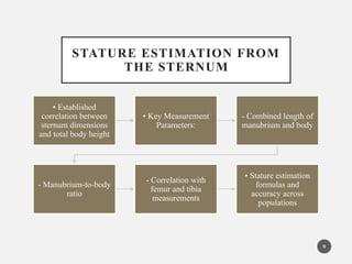Utilising Sternum Morphology for Ancestry Determination and Stature ...