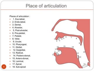 Place of articulation
Places of articulation :
 1. Exo-labial,
 2. Endo-labial,
 3. Dental,
 4. Alveolar,
 5. Post-alveolar,
 6. Pre-palatal,
 7. Palatal,
 8. Velar,
 9. Uvular,
 10. Pharyngeal,
 11. Glottal,
 12. Epiglottal,
 13. Radical,
 14. Postero-dorsal,
 15. Antero-dorsal,
 16. Laminal,
 17. Apical,
 18. Sub-apical4
 