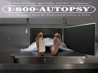Forensic Autopsy