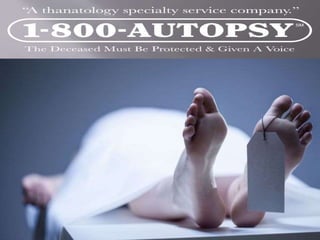 Forensic Autopsy
