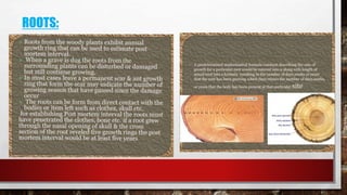 Botanical Evidence Examples forensic biology presentation by Renee Prasad | PPTX