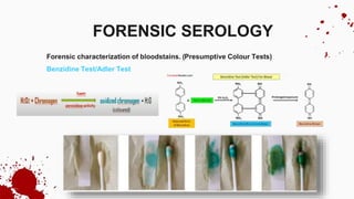 Forensic characterization of bloodstains. (Presumptive Colour Tests)
Benzidine Test/Adler Test
FORENSIC SEROLOGY
 