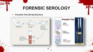 FORENSIC SEROLOGY
 Precipitin Test (Ab-Ag Reaction)
 