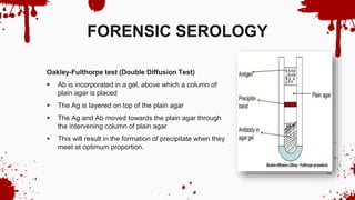 FORENSIC SEROLOGY
Oakley-Fulthorpe test (Double Diffusion Test)
 Ab is incorporated in a gel, above which a column of
plain agar is placed
 The Ag is layered on top of the plain agar
 The Ag and Ab moved towards the plain agar through
the intervening column of plain agar
 This will result in the formation of precipitate when they
meet at optimum proportion.
 