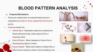 c) Projected Bloodstains
 These are created when an exposed blood source is
subjected to an action or force, greater than the force of
gravity.
 It can be divided into:
 Arterial Spurt - Bloodstain pattern(s) resulting from
blood exiting the body under pressure from a
breached artery
 Cast-off Stains - Blood released or thrown from a
blood-bearing object in motion
 Impact Spatter - Blood stain patterns created when a
blood source receives a blow or force resulting in the
BLOOD PATTERN ANALYSIS
 