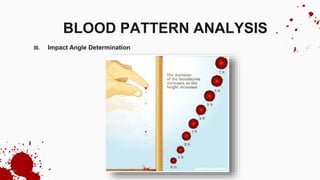 III. Impact Angle Determination
BLOOD PATTERN ANALYSIS
 