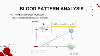 VI. Point/Area of Origin (POO/AOO)
 Trigonometric method (Tangent formulae)
BLOOD PATTERN ANALYSIS
 