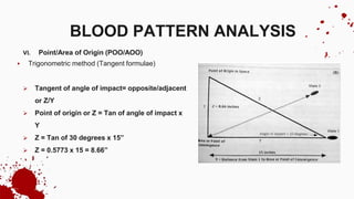VI. Point/Area of Origin (POO/AOO)
 Trigonometric method (Tangent formulae)
 Tangent of angle of impact= opposite/adjacent
or Z/Y
 Point of origin or Z = Tan of angle of impact x
Y
 Z = Tan of 30 degrees x 15”
 Z = 0.5773 x 15 = 8.66”
BLOOD PATTERN ANALYSIS
 