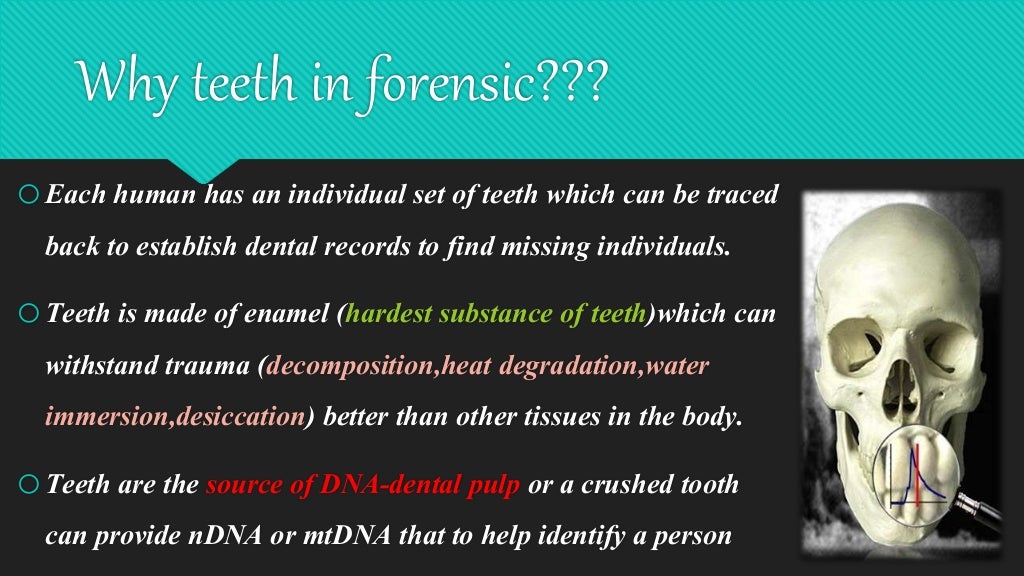 Forensic dentistry
