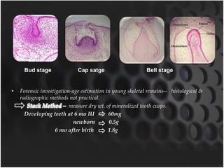 • Forensic investigation-age estimation in young skeletal remains-- histological &
radiographic methods not practical.
measure dry wt. of mineralized tooth cusps.
Developing teeth at 6 mo IU 60mg
newborn 0.5g
6 mo after birth 1.8g
Bud stage Cap satge Bell stage
 