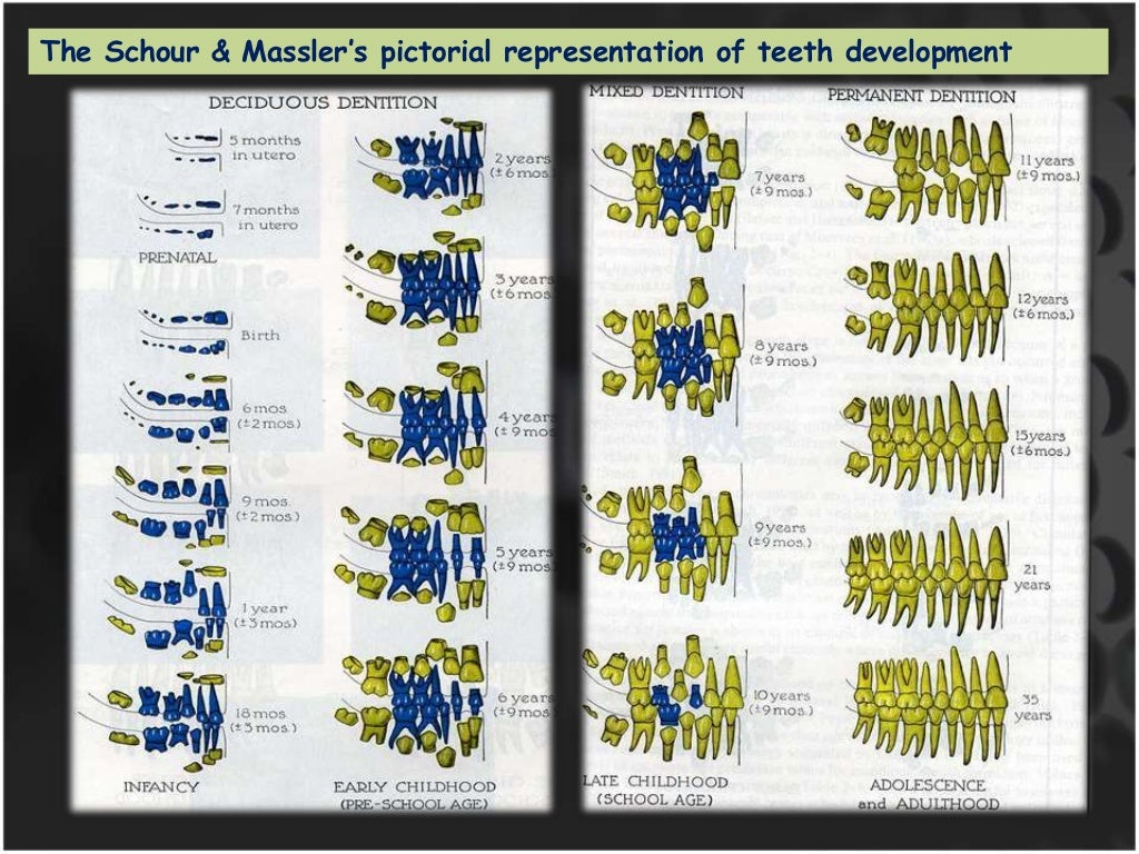 Forensic DentistryAge Determination In Children