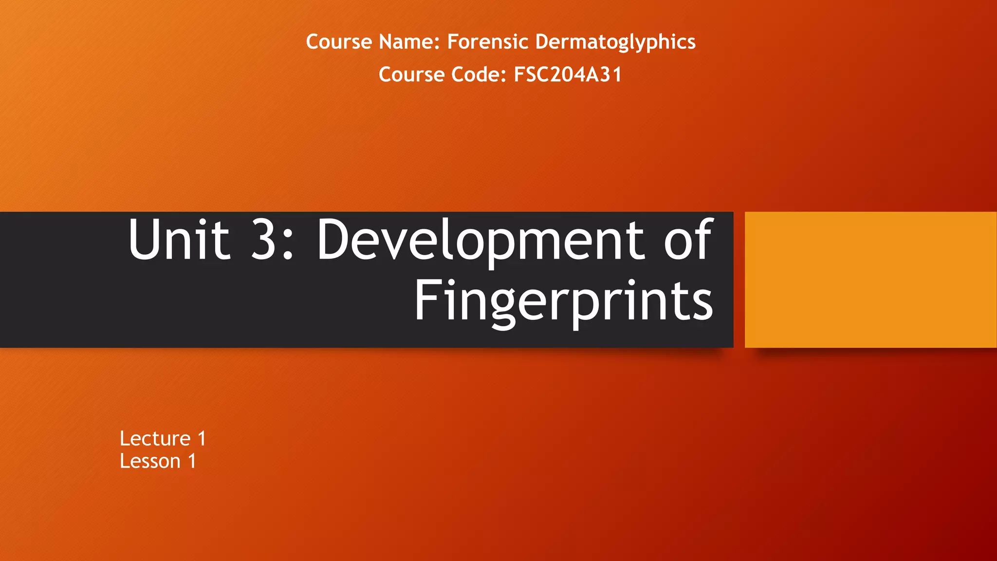 DEVELOPMENT OF FINGERPRINTS | PPTX | Skin and Dermatology | Diseases ...