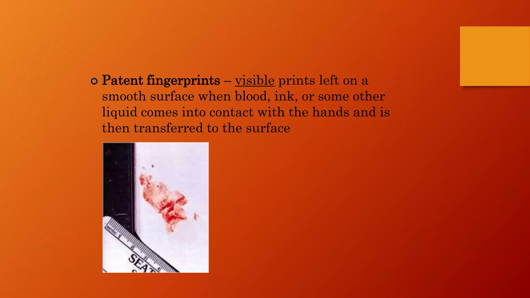 DEVELOPMENT OF FINGERPRINTS | PPTX | Skin and Dermatology | Diseases ...