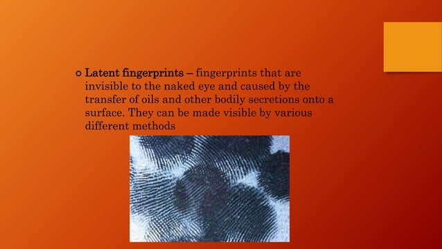 DEVELOPMENT OF FINGERPRINTS | PPTX | Skin and Dermatology | Diseases ...