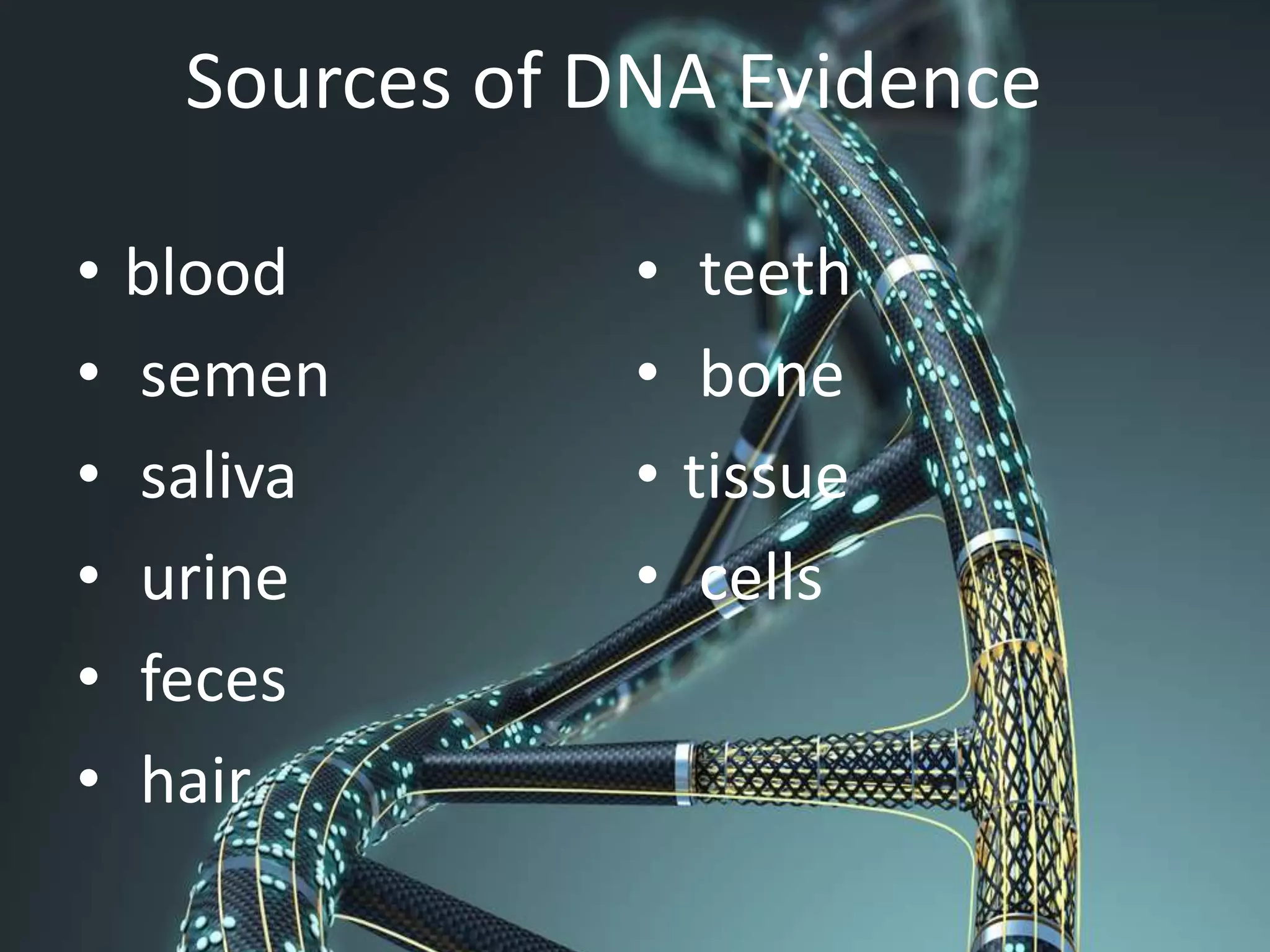 Sources of DNA Evidence
• blood
• semen
• saliva
• urine
• feces
• hair
• teeth
• bone
• tissue
• cells