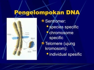 Sentromer Dna kuliah prof Forensic DNA Typing 2025.pptx