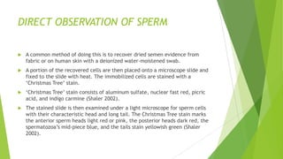 Acid phosphatase Detection
 Acid phosphatase is an enzyme secreted by the prostate gland into seminal
fluid and found in concentrations up to 400 times greater in semen than in
other body fluids (Sensabaugh 1979, Saferstein 2001). A purple color with the
addition of a few drops of sodium alpha naphthylphosphate and Fast Blue B
solution or the fluorescence of 4-methyl umbelliferyl phosphate under a UV
light indicates the presence of AP.
 Prostate specific antigen was discovered in the 1970s and shown to have
forensic value with the identity of a protein named p30 due to its apparent
30000 molecular weight (Sensabaugh 1978).
 