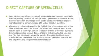 DIRECT OBSERVATION OF SPERM
 A common method of doing this is to recover dried semen evidence from
fabric or on human skin with a deionized water-moistened swab.
 A portion of the recovered cells are then placed onto a microscope slide and
fixed to the slide with heat. The immobilized cells are stained with a
„Christmas Tree‟ stain.
 „Christmas Tree‟ stain consists of aluminum sulfate, nuclear fast red, picric
acid, and indigo carmine (Shaler 2002).
 The stained slide is then examined under a light microscope for sperm cells
with their characteristic head and long tail. The Christmas Tree stain marks
the anterior sperm heads light red or pink, the posterior heads dark red, the
spermatozoa‟s mid-piece blue, and the tails stain yellowish green (Shaler
2002).
 