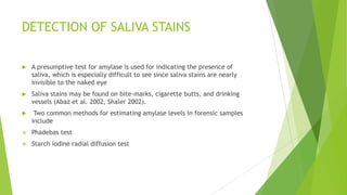 DIRECT CAPTURE OF SPERM CELLS
 Sperm cells can be collected on magnetic particles or beads that can be
coated with antibodies specific for sperm proteins (Marshall 2002). The beads
are then washed to remove the female epithelial cells. Finally, the purified
sperm are placed into a PCR reaction to produce a DNA profile of the
perpetrator.
 This approach depends on sperm being intact, which is not always the case
with old sexual assault evidence.
 
