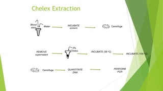 Chelex method
 The Chelex method of DNA extraction is more rapid than the organic
extraction method.
 Chelex extraction involves fewer steps and thus fewer opportunities for
sample-to-sample contamination.
 However, it produces single stranded DNA as a result of the extraction process
and therefore is only useful for PCR-based testing procedures.
 