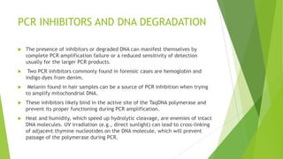 OTHER METHODS FOR DNA EXTRACTION
 A simple closed tube DNA extraction method has been demonstrated with a
thermal stable protease that looks very promising (Moss et al. 2003).
 Microwave extraction has been used to shorten the conventional organic
extraction method by several hours and to yield genomic DNA that could be
PCR-amplified (Lee et al. 1994).
 The addition of 6M NaCl to a proteinase K-digested cell extract followed by
vigorous shaking and centrifugation results in a simple precipitation of the
proteins (Miller et al. 1988). The supernatant containing the DNA portion of
cell extract can then be added to a PCR reaction.
 A simple alkaline lysis with 0.2M NaOH for five minutes at room temperature
has been shown to work as well (Rudbeck and Dissing 1998, Klintschar and
Neuhuber 2000).
 