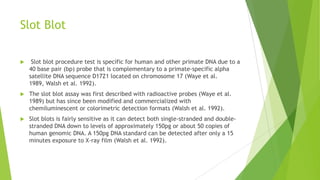 DNA QUANTITATION
 Early methods for DNA quantitation typically involved either absorbance at a
wavelength of 260nm or fluorescence after staining a yield gel with ethidium
bromide.
 Unfortunately, because these approaches are not very sensitive, they
consume valuable forensic specimens that are irreplaceable. In addition,
absorbance measurements are not specific for DNA and contaminating
proteins or phenol left over from the extraction procedure can give falsely
high signals.
 Modern techniques are
 Slot blot procedure
 Fluorescence- based microtiter plate assays („real-time or quantitative PCR‟)
 