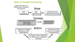 mtDNA Importance
 As in previous shown quadrant mtDNA has lowest efficiency
 But it can be very helpful in cases where severely DNA samples are involved
or in maternally related cases.
 
