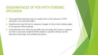 DISADVANTAGES OF PCR WITH FORENSIC
SPECIMENS
 The target DNA template may not amplify due to the presence of PCR
inhibitors in the extracted DNA .
 Amplification may fail due to sequence changes in the primer-binding region
of the genomic DNA template.
 Contamination from other human DNA sources besides the forensic evidence
at hand or previously amplified DNA samples is possible without careful
laboratory technique and validated protocols.
 