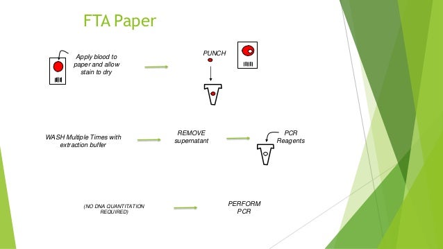 Dna extraction thesis