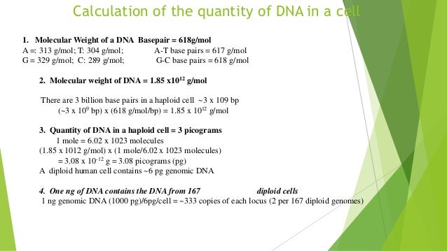 Pg dna per cell