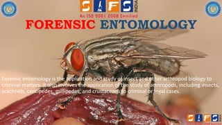 FORENSIC ENTOMOLOGY
Forensic entomology is the application and study of insect and other arthropod biology to
criminal matters. It also involves the application of the study of arthropods, including insects,
arachnids, centipedes, millipedes, and crustaceans to criminal or legal cases.
 