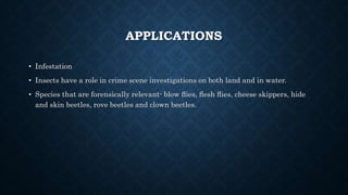 APPLICATIONS
• Infestation
• Insects have a role in crime scene investigations on both land and in water.
• Species that are forensically relevant- blow ﬂies, ﬂesh ﬂies, cheese skippers, hide
and skin beetles, rove beetles and clown beetles.
 