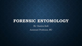 FORENSIC ENTOMOLOGY
By- Saniya Zedi
Assistant Professor, BU
 