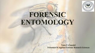 FORENSIC
ENTOMOLOGY
Tanu P. Chandel
Volunteer of Applied Forensic Research Sciences
 