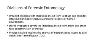 Divisions of Forensic Entomology
• Urban: It concerns with litigations arising from Bedbugs and Termites
affecting manmade structures and other aspects of human
environment.
• Stored-Product: It covers the litigations arising from grains and other
food contamination by insects.
• Medico-Legal: It involves the analysis of necrophagous insects to gain
insight into Time of Death (TOD)
 