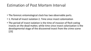 Estimation of Post Mortem Interval
• The forensic entomological clock has two observable parts.
• 1. Period of insect isolation 2. Time since insect colonization
• The period of insect isolation is the time of invasion of flesh eating
insects on the dead matter, while time since insect colonization is the
developmental stage of the discovered insect from the crime scene
[23]
 