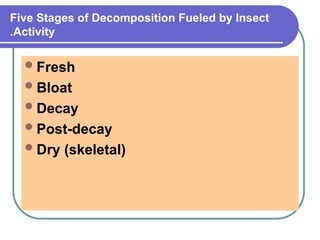 forensic entomology identifaction ana.ppt