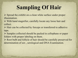 Forensic examination of hair | PPTX