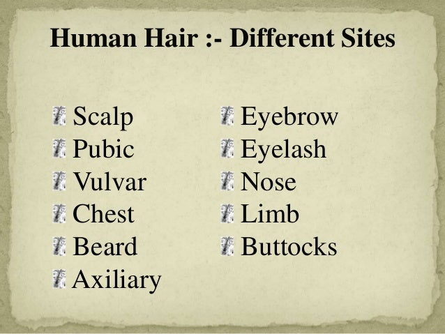 a human hair can be distinguished from an animal hair by examining