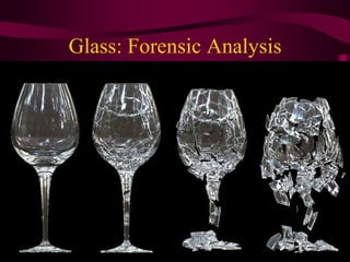 Glass: Forensic Analysis
 