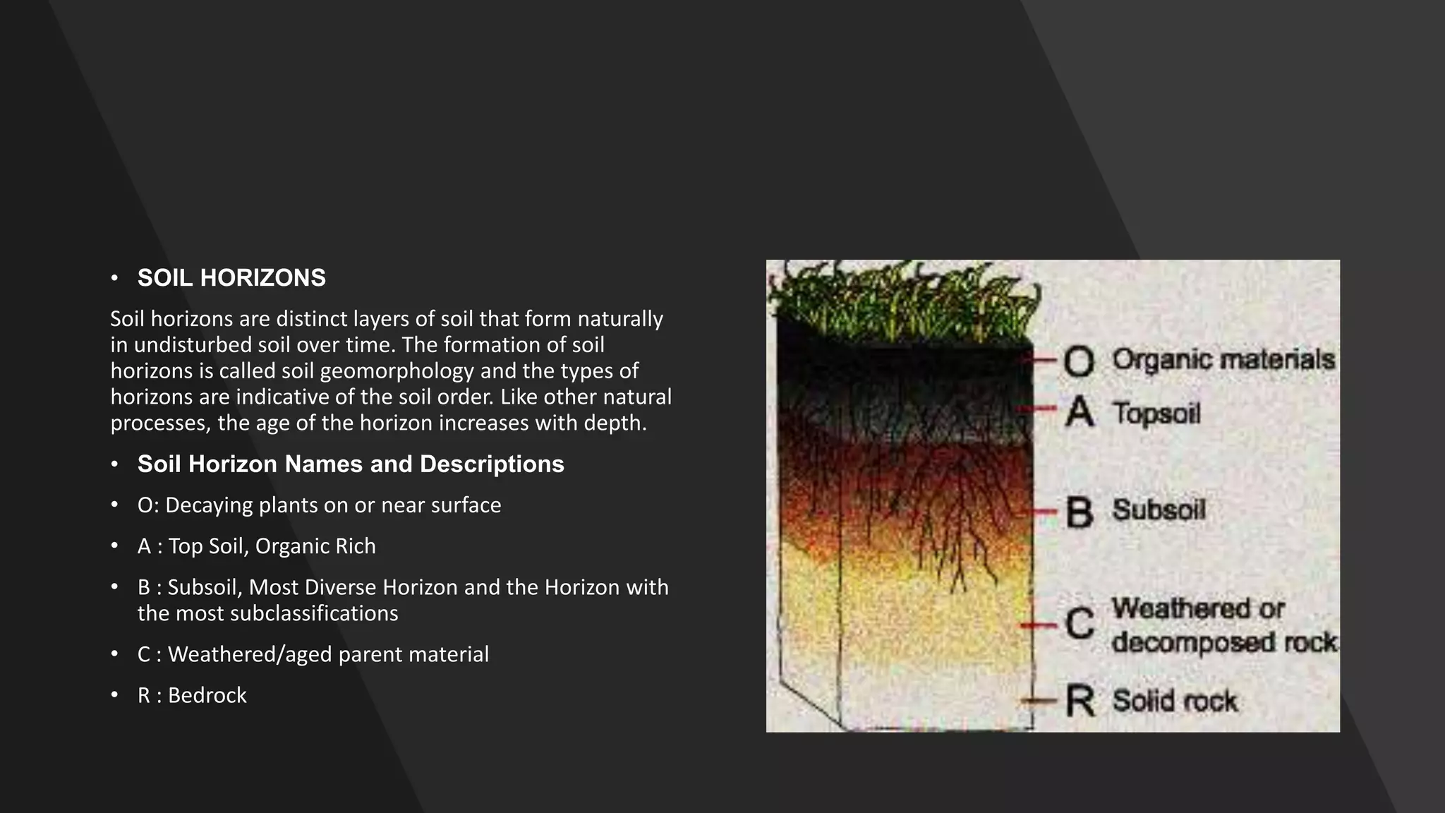 • SOIL HORIZONS
Soil horizons are distinct layers of soil that form naturally
in undisturbed soil over time. The formation of soil
horizons is called soil geomorphology and the types of
horizons are indicative of the soil order. Like other natural
processes, the age of the horizon increases with depth.
• Soil Horizon Names and Descriptions
• O: Decaying plants on or near surface
• A : Top Soil, Organic Rich
• B : Subsoil, Most Diverse Horizon and the Horizon with
the most subclassifications
• C : Weathered/aged parent material
• R : Bedrock
 