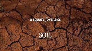 a square forensics
SOIL
 