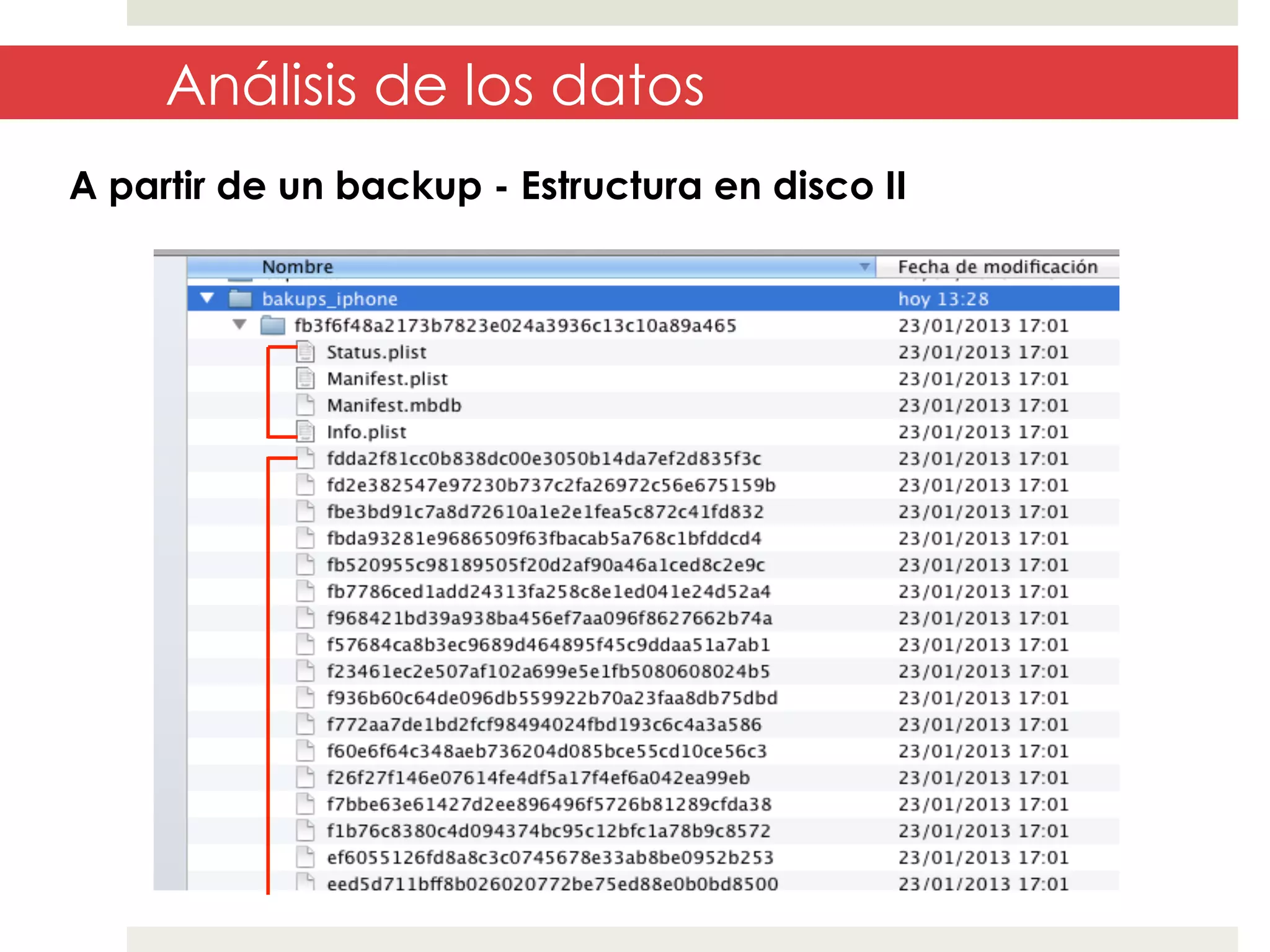 Análisis de los datos
A partir de un backup - Estructura en disco II

 