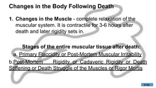 Changes in the Body Following Death
1. Changes in the Muscle - complete relaxation of the
muscular system. It is contractile for 3-6 hours after
death and later rigidity sets in.
Stages of the entire muscular tissue after death:
a. Primary Flaccidity or Post-Mortem Muscular Irritability
b.Post-Mortem Rigidity or Cadaveric Rigidity or Death
Stiffening or Death Struggle of the Muscles or Rigor Mortis
knip
 