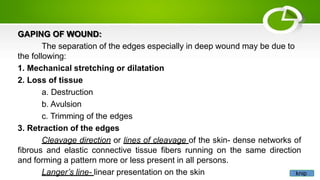 GAPING OF WOUND:
The separation of the edges especially in deep wound may be due to
the following:
1. Mechanical stretching or dilatation
2. Loss of tissue
a. Destruction
b. Avulsion
c. Trimming of the edges
3. Retraction of the edges
Cleavage direction or lines of cleavage of the skin- dense networks of
fibrous and elastic connective tissue fibers running on the same direction
and forming a pattern more or less present in all persons.
Langer’s line- linear presentation on the skin knip
 