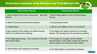 Distinction between Ante-Mortem and Post-Mortem Wounds
generally
Ante-mortem Wound
1.Hemorrhage more or less copious and
arterial.
2. Marks of spouting of blood from arteries.
3. Clotted blood.
4.Deep staining of the edges and cellular tissues,
which is not removed by washing.
5.The edges gape owing to the reaction of the skin
and muscle fibers.
6. Inflammation and reparative processes.
Postmortem Wound
1.Hemorrhage slight or none at all and always
venous.
2. No spouting of blood.
3. Blood is not clotted; if at all, it is a soft clot.
4.The edges and cellular tissues are not deeply
stained. The staining can be removed by washing.
5.The edges do not gape, but are closely
approximated to each other, unless the wound is
caused within one or two hours after death.
6. No inflammation or reparative processes.
knip
 