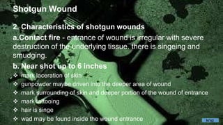 Shotgun Wound
2. Characteristics of shotgun wounds
a.Contact fire - entrance of wound is irregular with severe
destruction of the underlying tissue. there is singeing and
smudging.
b. Near shot up to 6 inches
 mark laceration of skin
 gunpowder maybe driven into the deeper area of wound
 mark surrounding of skin and deeper portion of the wound of entrance
 mark tattooing
 hair is singe
 wad may be found inside the wound entrance knip
 