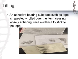 Lifting
• An adhesive bearing substrate such as tape
is repeatedly rolled over the item, causing
loosely adhering trace evidence to stick to
the tape.
 